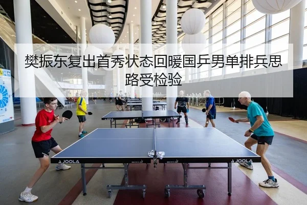 樊振东复出首秀状态回暖国乒男单排兵思路受检验