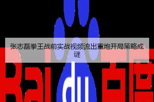 张志磊拳王战前实战视频流出重炮开局策略成谜